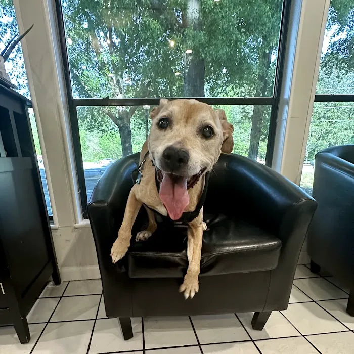Johns Creek Veterinary Clinic Picture 1