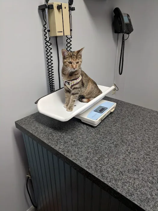 Johns Creek Veterinary Clinic Picture 3