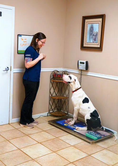 Mill Creek Animal Hospital Picture 1