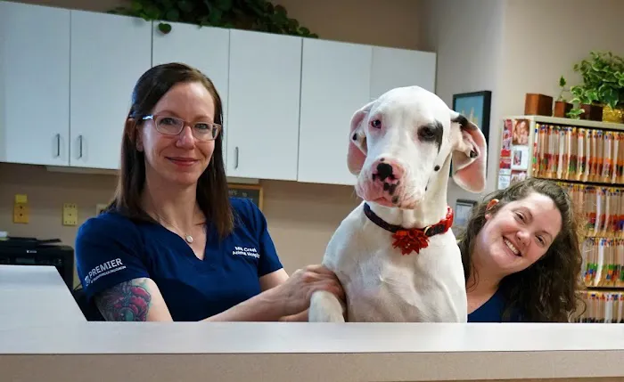 Mill Creek Animal Hospital Picture 3
