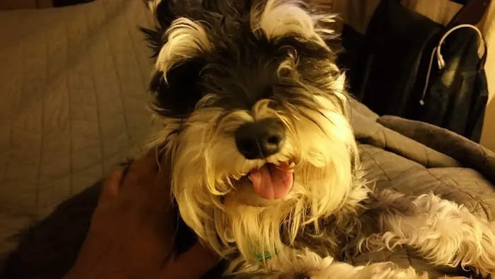 Mill Creek Animal Hospital Picture 5