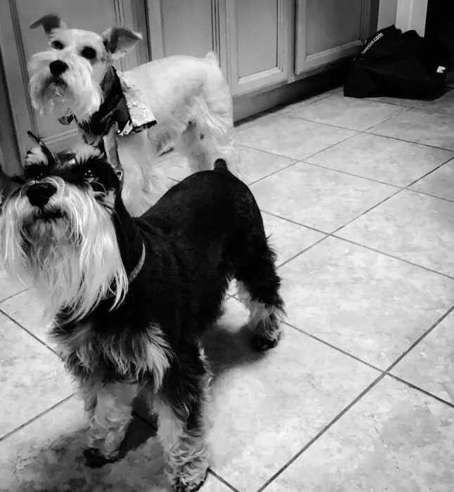 Mill Creek Animal Hospital Picture 7