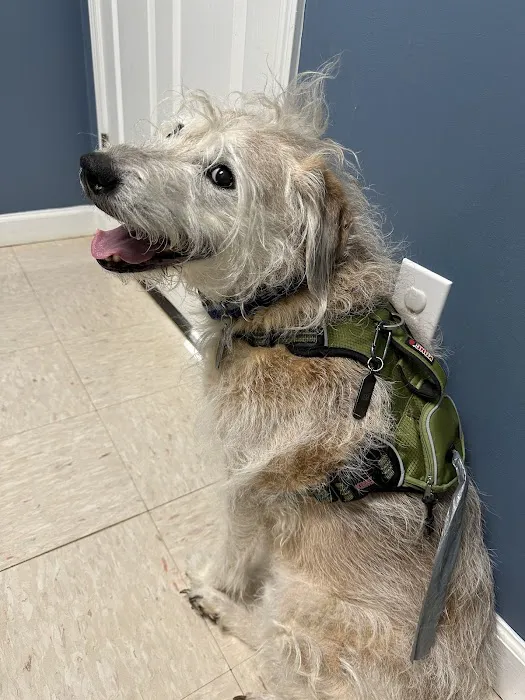 Mill Creek Animal Hospital Picture 10