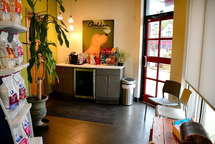 Camden Village Animal Hospital Picture 2