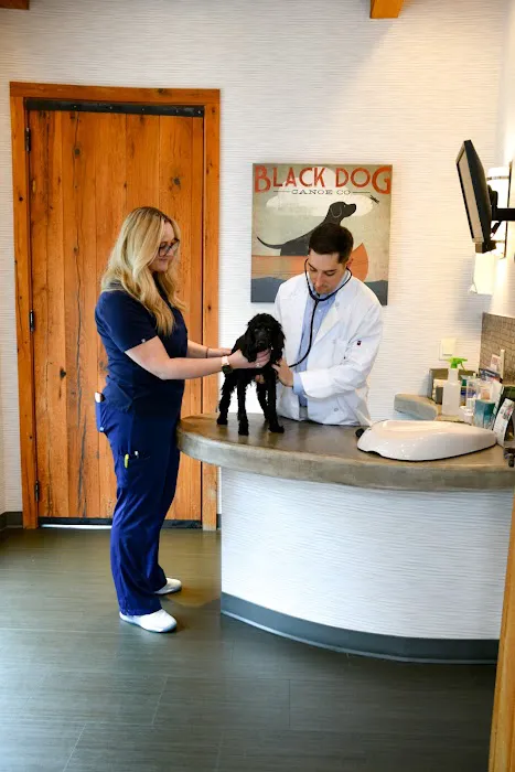 Camden Village Animal Hospital Picture 4