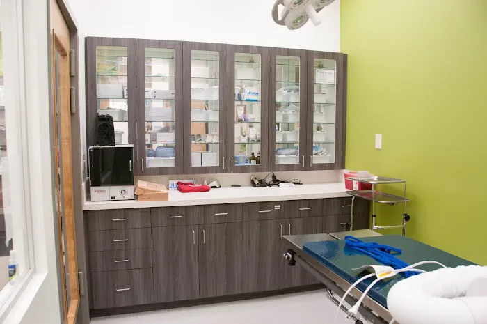 Camden Village Animal Hospital Picture 5