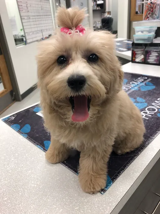 Camden Village Animal Hospital Picture 9