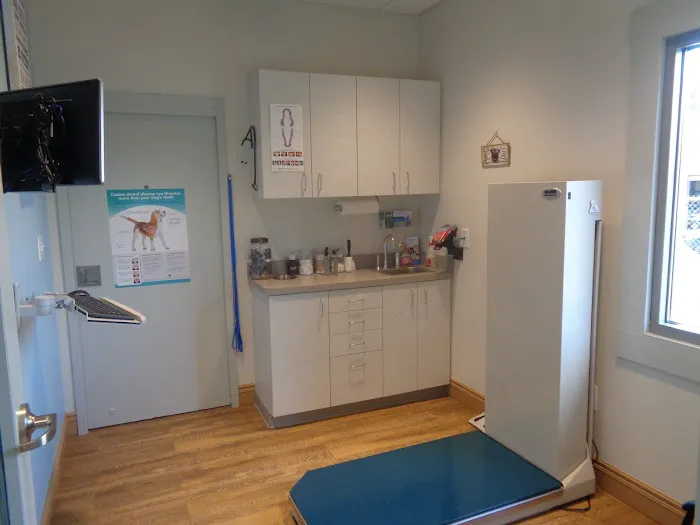 Bethel Animal Hospital Picture 8