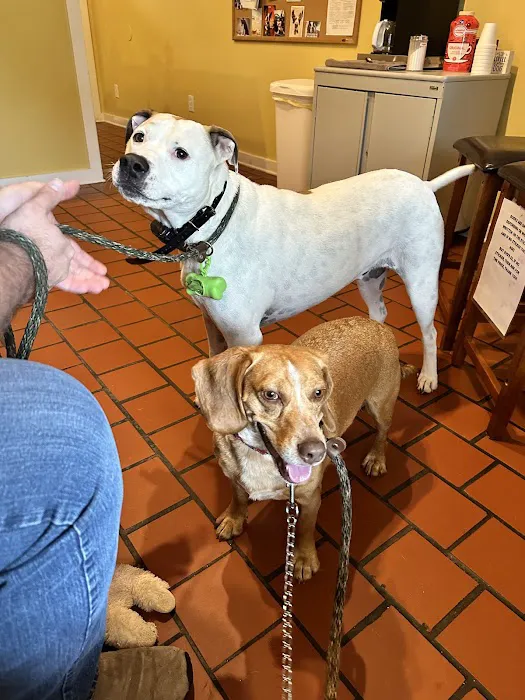 Thompson Creek Animal Hospital Picture 1