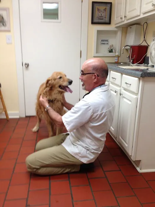 Thompson Creek Animal Hospital Picture 7