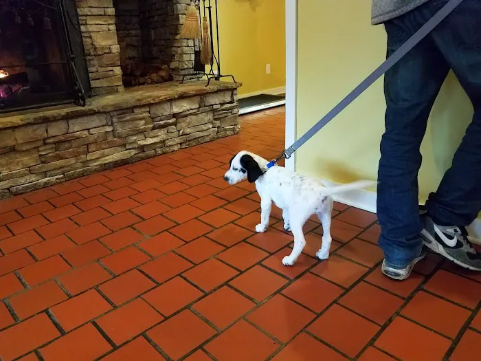 Thompson Creek Animal Hospital Picture 8