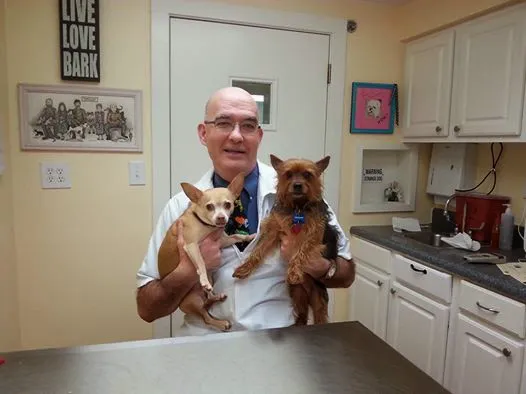Thompson Creek Animal Hospital Picture 6