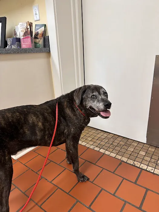 Thompson Creek Animal Hospital Picture 10