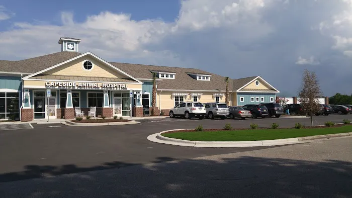 Capeside Animal Hospital Picture 6