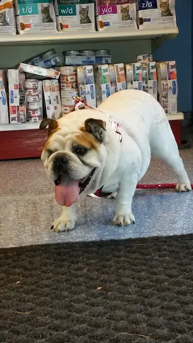 Leland Veterinary Hospital Picture 5