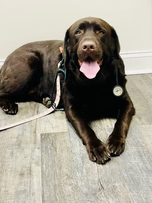 Ocean Isle Veterinary Hospital Picture 2
