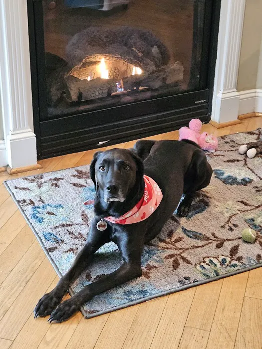 Ocean Isle Veterinary Hospital Picture 7
