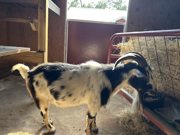 Pineview Veterinary Hospital Picture 1