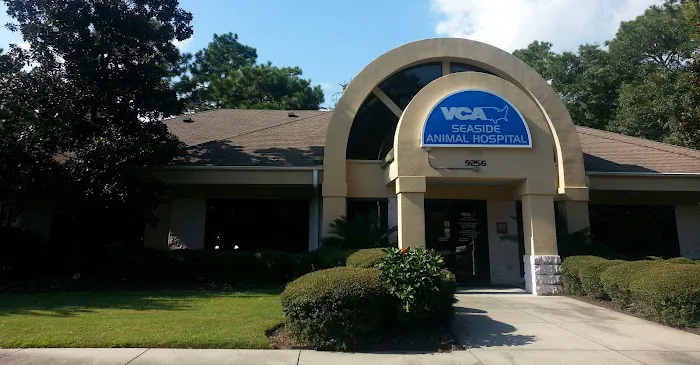 VCA Seaside Animal Hospital Picture 3