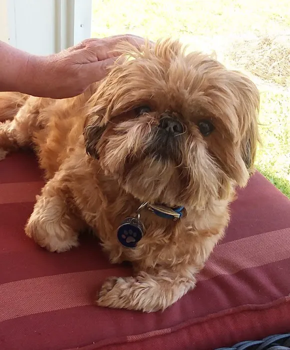 VCA Seaside Animal Hospital Picture 2