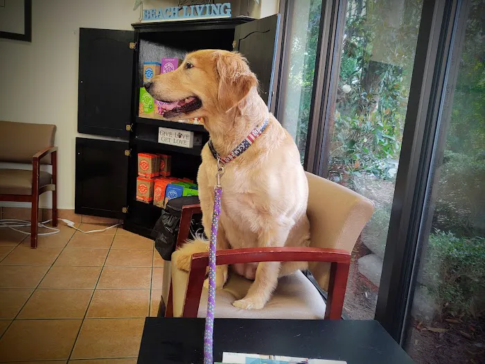 VCA Seaside Animal Hospital Picture 1