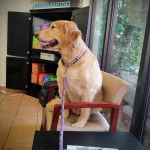 VCA Seaside Animal Hospital