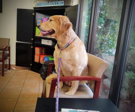 VCA Seaside Animal Hospital