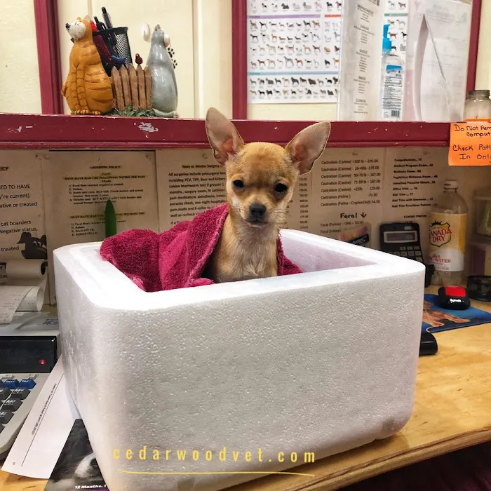 Cedarwood Veterinary Hospital Picture 1