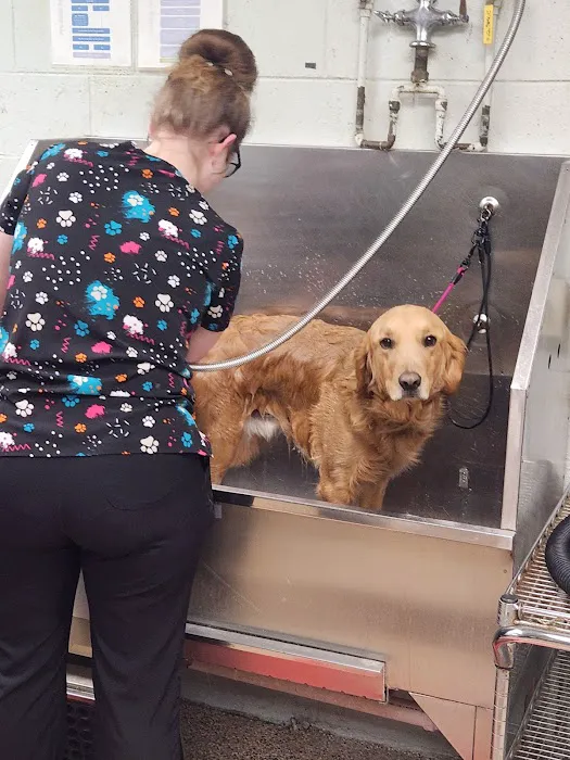 Rocky Hill Animal Hospital Picture 8
