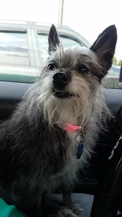 Pound Veterinary Hospital Picture 3