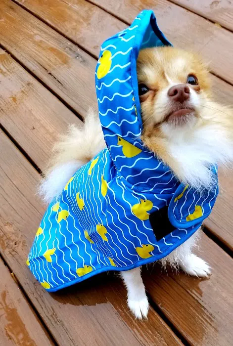 Pound Veterinary Hospital Picture 4