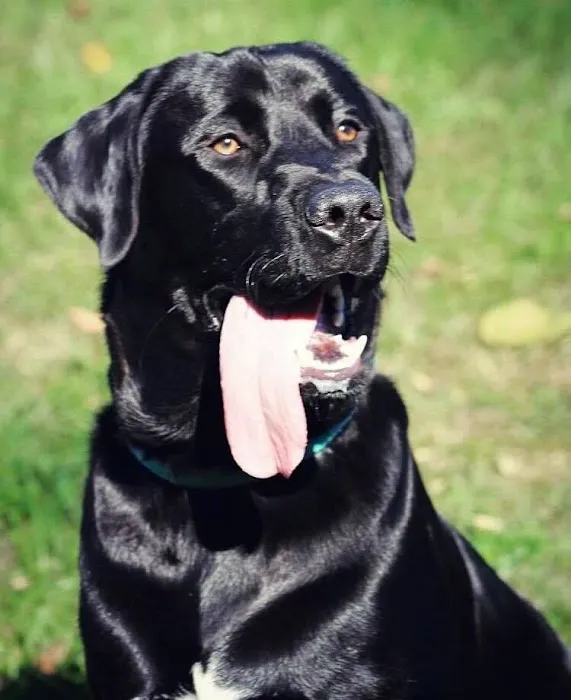 Pound Veterinary Hospital Picture 6