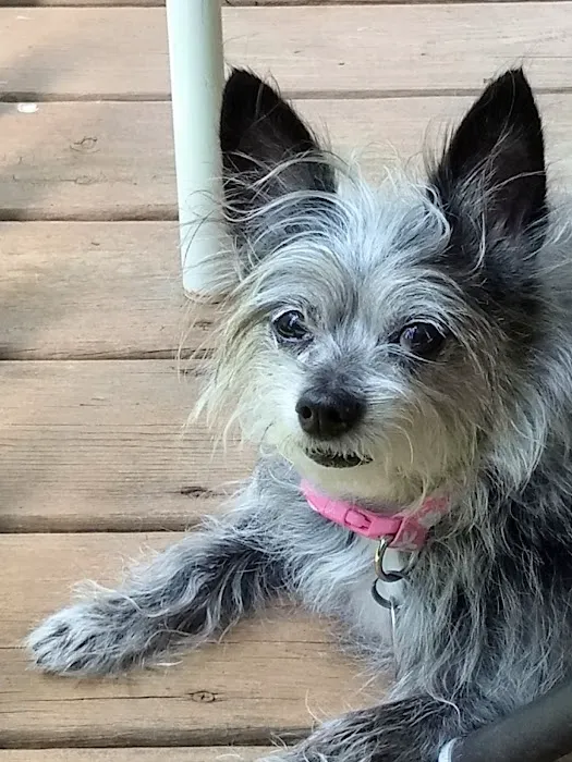 Pound Veterinary Hospital Picture 10