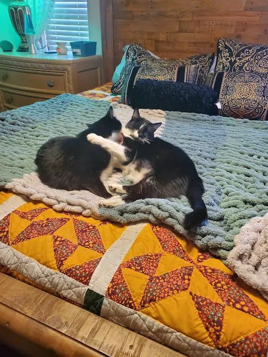 Mountain Home Veterinary Clinic Picture 6