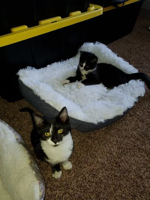 Mountain Home Veterinary Clinic Picture 4