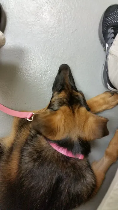 Mountain Home Veterinary Clinic Picture 10