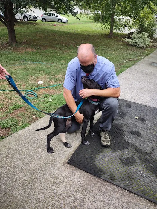 Animal Clinic of Pigeon Forge Picture 8