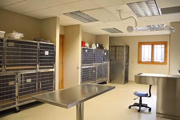 Volunteer Veterinary Hospital Picture 1