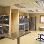 Volunteer Veterinary Hospital