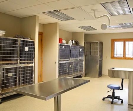 Volunteer Veterinary Hospital