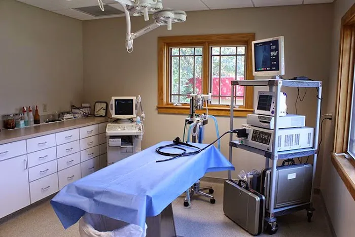 Volunteer Veterinary Hospital Picture 4