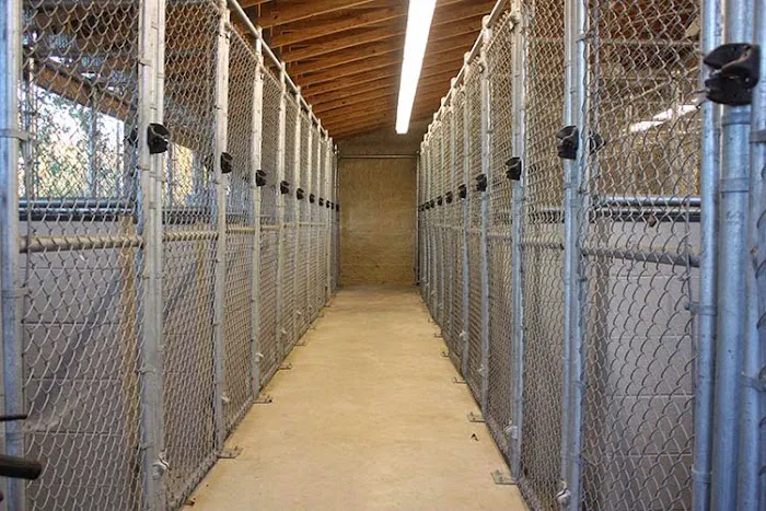 Volunteer Veterinary Hospital Picture 7