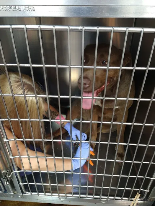 My Pet's Animal Hospital Picture 5