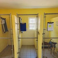 Bluegrass Animal Hospital ico
