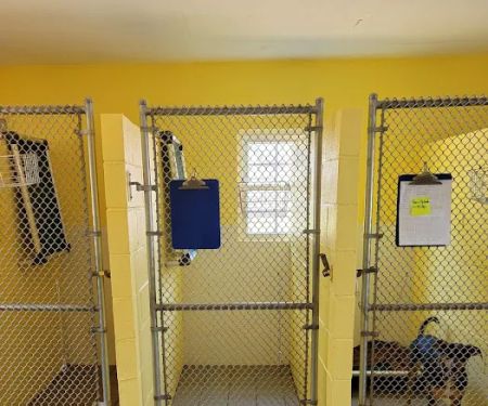 Bluegrass Animal Hospital