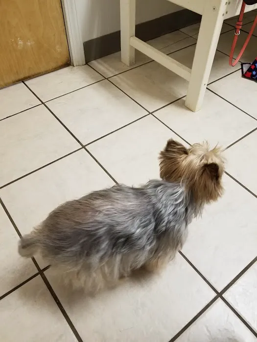 Bluegrass Animal Hospital Picture 6