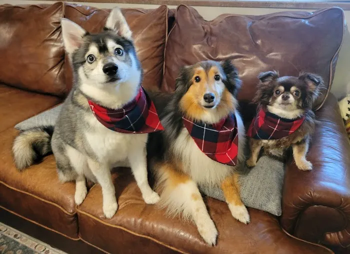 Bluegrass Animal Hospital Picture 7