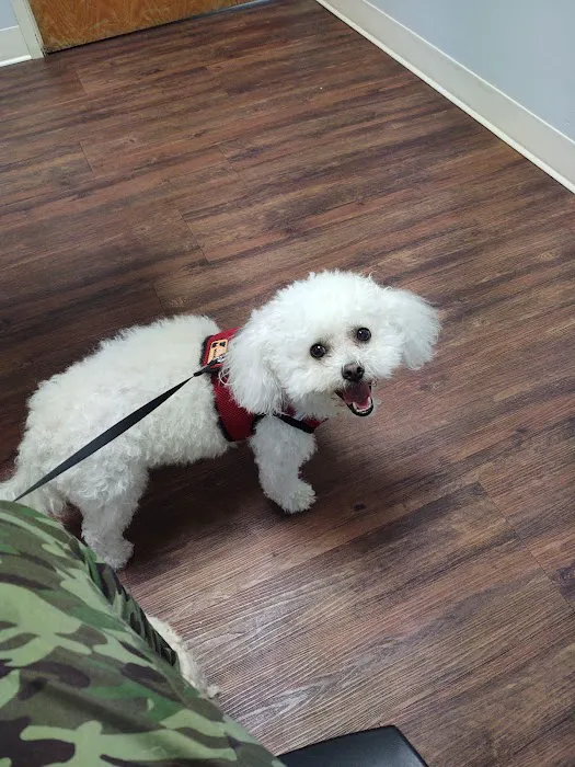 Admiral Veterinary Hospital Picture 1