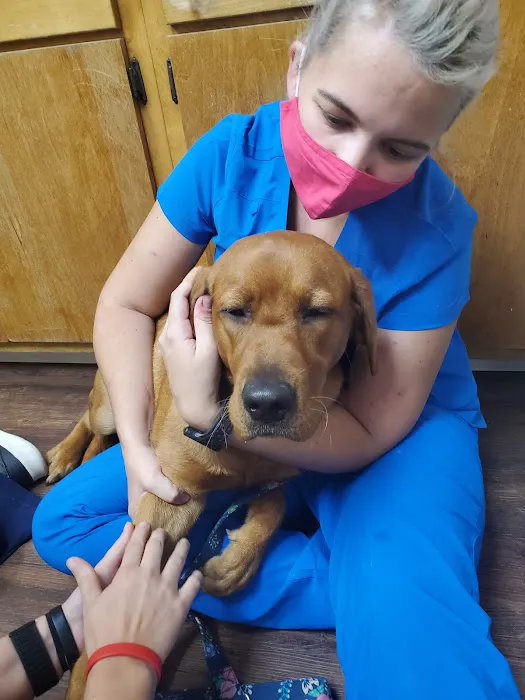 Admiral Veterinary Hospital Picture 3