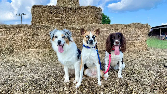 Admiral Veterinary Hospital Picture 6